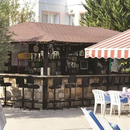 Tosunoglu *